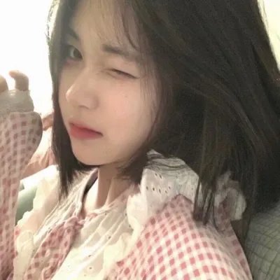 鸽之翼